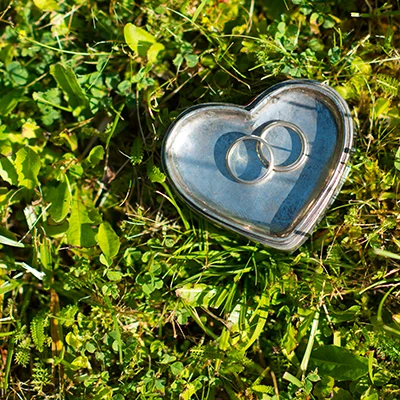 Eheringe in einer Herzschale im Gras